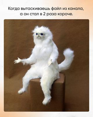 Мем